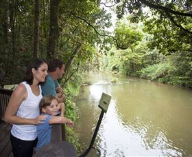 Platypus Viewing At Broken River - QLD Tourism 1