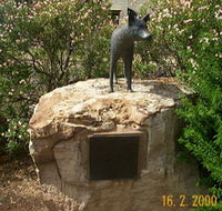 Dingo Statue - Queensland Tourism