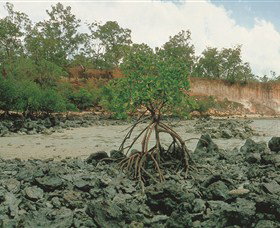 Garig Gunak Barlu National Park - QLD Tourism 3