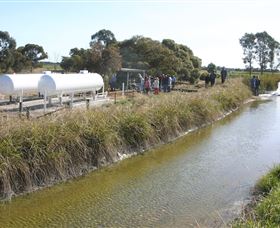 Cornalla Farm Tour - QLD Tourism 0