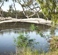 Murray Valley National Park - QLD Tourism