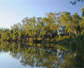 IWaterSki - QLD Tourism 0
