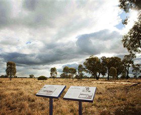 Backroads Trail - QLD Tourism 2