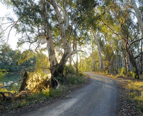 Alton Gallery - Echuca Moama Artists - Queensland Tourism 0