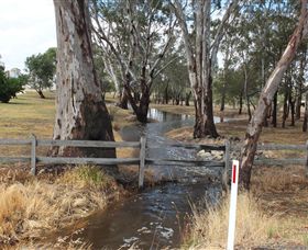 Mackereth's Hedon Farm - QLD Tourism 2