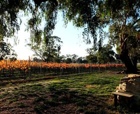 Mackereth's Hedon Farm - QLD Tourism 3