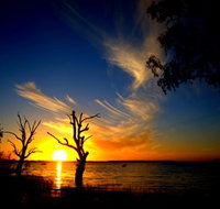 Lake Cowal - QLD Tourism