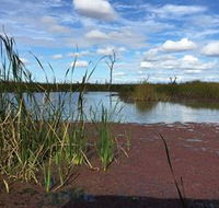 Gwydir Wetlands - Queensland Tourism