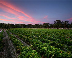 Amherst Winery - QLD Tourism 0