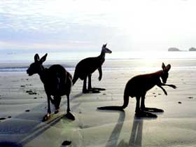 Hibiscus Coast - Queensland Tourism 0