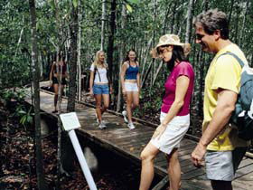 Hibiscus Coast - Queensland Tourism 3