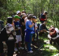 Warrumbungle National Park Discovery Program - Queensland Tourism