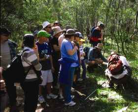 Warrumbungle National Park Discovery Program - QLD Tourism 0