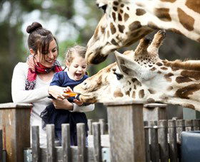 Taronga Western Plains Zoo, Dubbo - Queensland Tourism 0