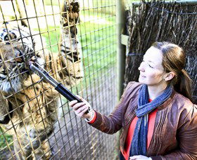 Taronga Western Plains Zoo, Dubbo - Queensland Tourism 3