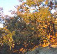 Mount Alexander Regional Park - QLD Tourism
