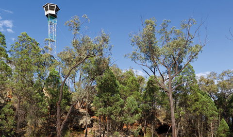 Salt Caves Picnic Area - QLD Tourism 2