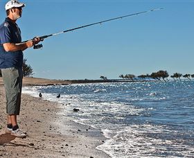 Dugong Sanctuary - Clairview - QLD Tourism 3
