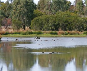 Waranga ACT QLD Tourism
