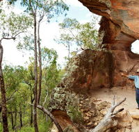 Pilliga National Park - Queensland Tourism