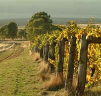 Captains Creek Organic Wines - QLD Tourism