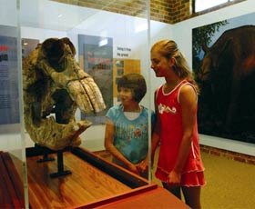 Australian Museum Diprotodon Exhibition - QLD Tourism 0