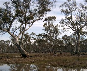 Murchison Rail Trail - Queensland Tourism 1
