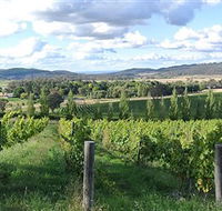 Sassy Wines - Queensland Tourism