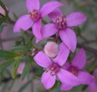 Self Drive Geology and Nature Trails - QLD Tourism