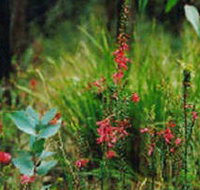 Enfield State Park - Queensland Tourism