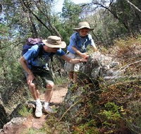 Mount Arthur Reserve - QLD Tourism
