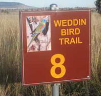 Weddin Bird Trails - Queensland Tourism