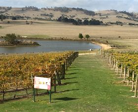 Grange Cleveland Winery - QLD Tourism 1