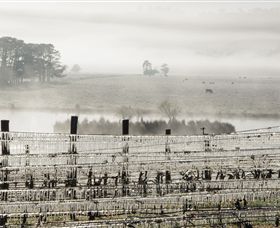 Grange Cleveland Winery - QLD Tourism 7