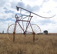 Animals on Bikes - Queensland Tourism