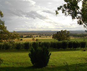 Wollundry Grove Olives - QLD Tourism 1