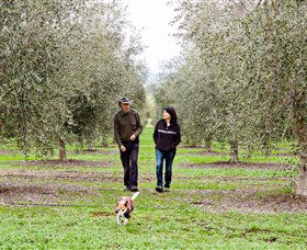 Wollundry Grove Olives - QLD Tourism 3