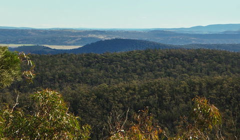 Conimbla National Park - Queensland Tourism 1