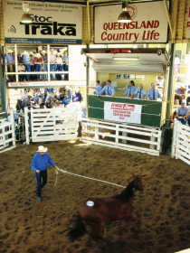 Gracemere QLD Queensland Tourism