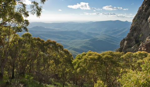 Kaputar Scenic Drive - Queensland Tourism 1