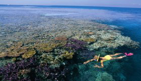 Hardy Reef - QLD Tourism 1