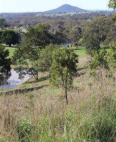 Mt Piper Nature Conservation Reserve - QLD Tourism 1