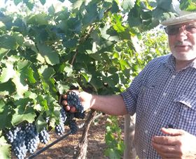 Rosnay Organic Farm And Vineyard - QLD Tourism 6