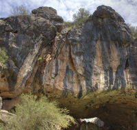 Borenore Karst Conservation Reserve - Queensland Tourism