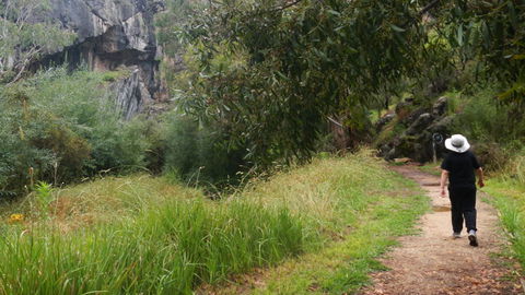 Borenore Karst Conservation Reserve - QLD Tourism 3