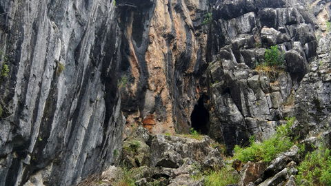 Borenore Karst Conservation Reserve - QLD Tourism 2