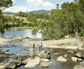 Polly McQuinns - QLD Tourism 0