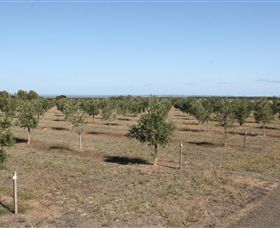 Camilo - QLD Tourism 2