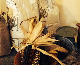 Cootamundra NSW QLD Tourism