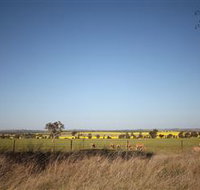 Cootamundra Bird Walk - QLD Tourism